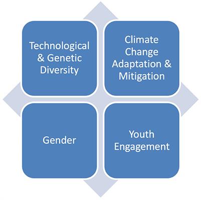 Transforming food systems: a gendered perspective on local agricultural innovation in Cuba